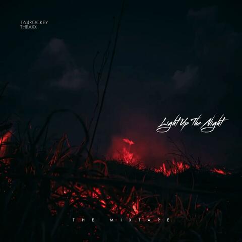 Light Up The Night (feat. Thraxx) album art