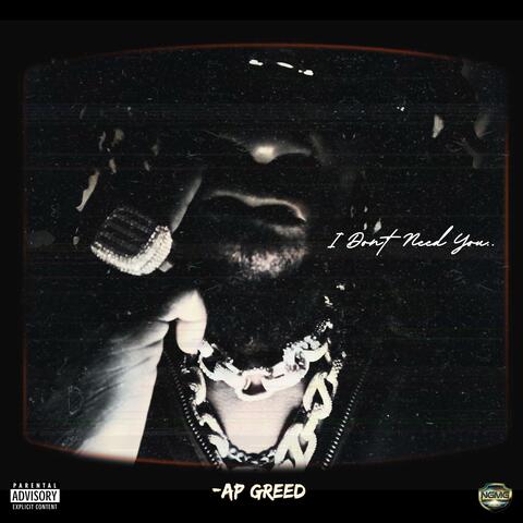 I Dont Need You album art