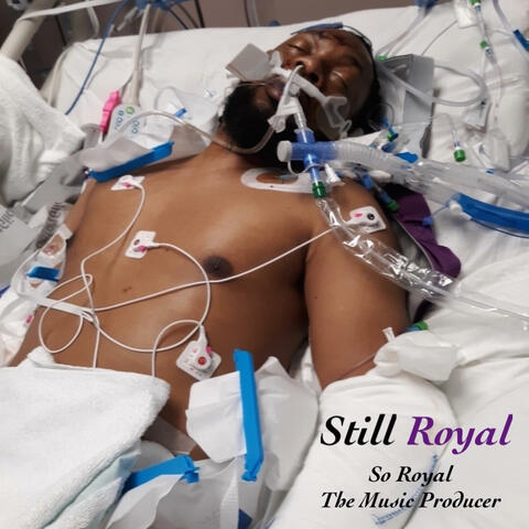 Still Royal album art