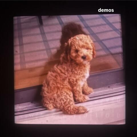 story try album art