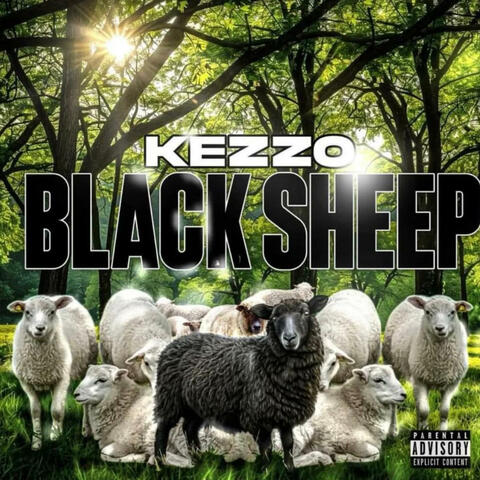 BLACK SHEEP album art