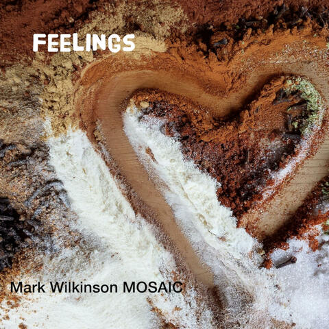 Feelings One album art