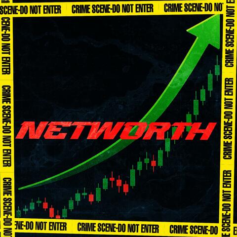 Networth (feat. babysin) album art