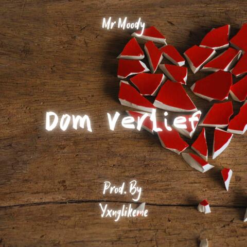 Dom Verlief (feat. Mr Moody) album art