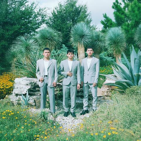The Garden album art