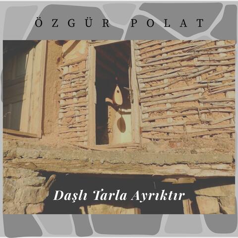 Daşlı Tarla Ayrıklı album art