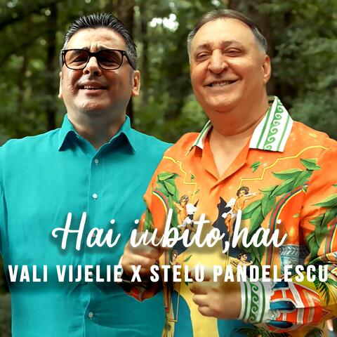 Hai iubito,hai (feat. Stelu Pandelescu) album art