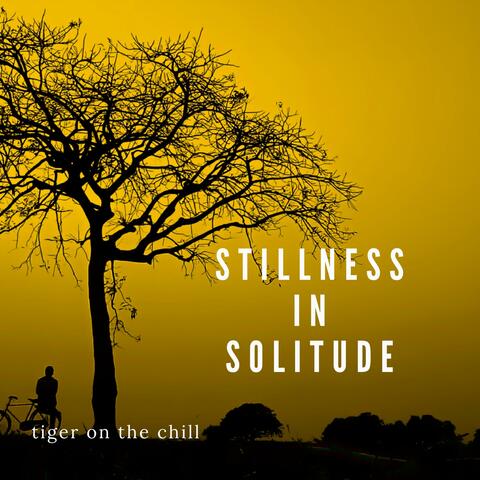 Stillness in Solitude album art