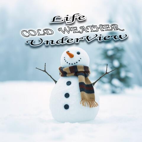 Cold Weather album art