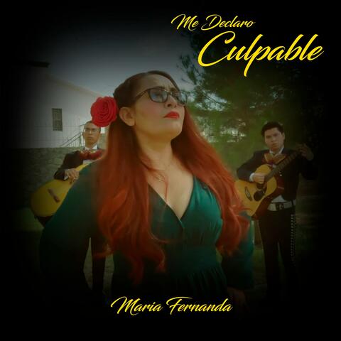 Me Declaro Culpable album art