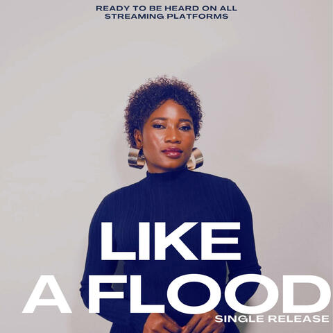 LIKE A FLOOD (Instrumental) album art