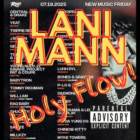 Holy Flow! album art