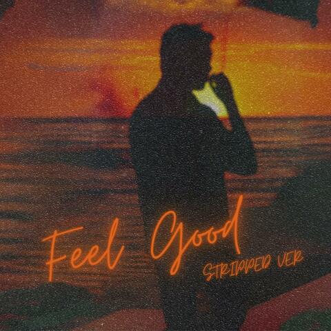 Feel Good (Stripped Down Ver) album art