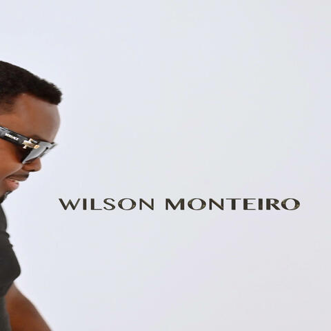 Vida Estrangeiro album art