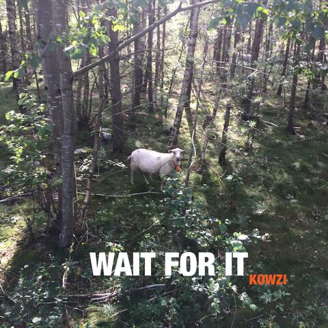 Wait for it album art