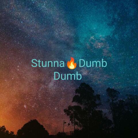 Dumb Dumb album art