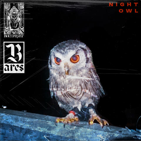 Night Owl album art