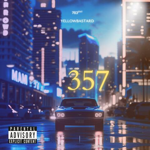 357 album art