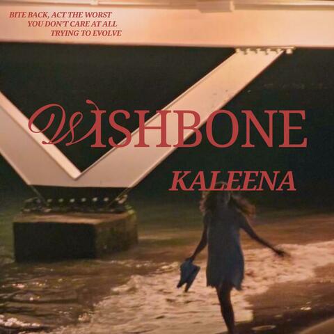 wishbone album art