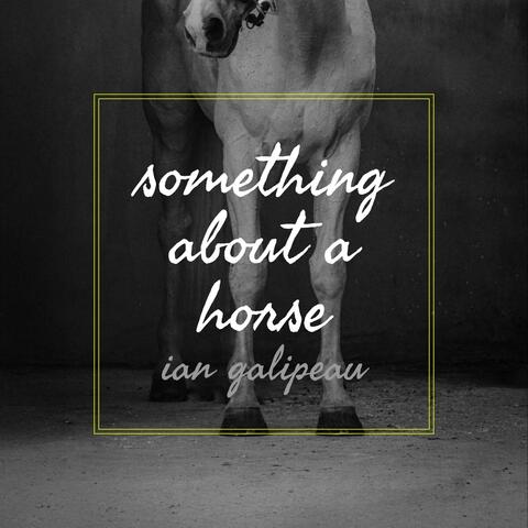 Something About A Horse album art