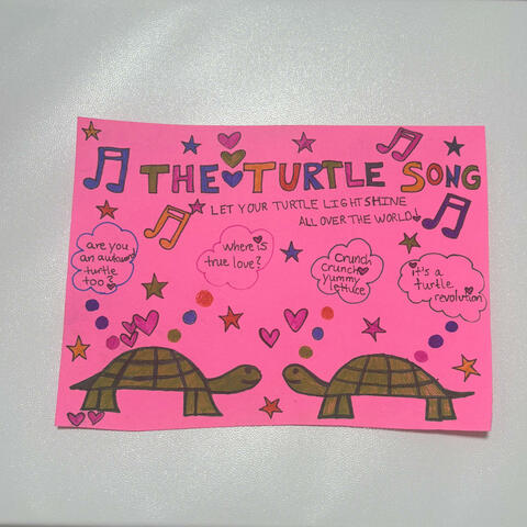 The Quirky Awkward Turtle Song album art