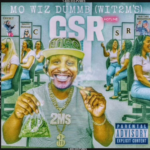 Got Customer Service ? (CSR) album art