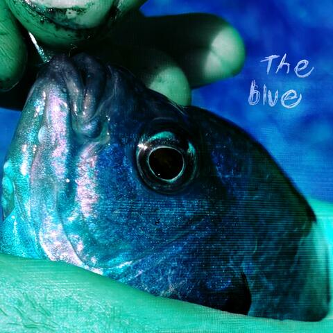 The Blue album art