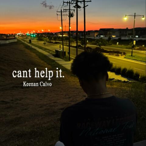 Cant Help It album art