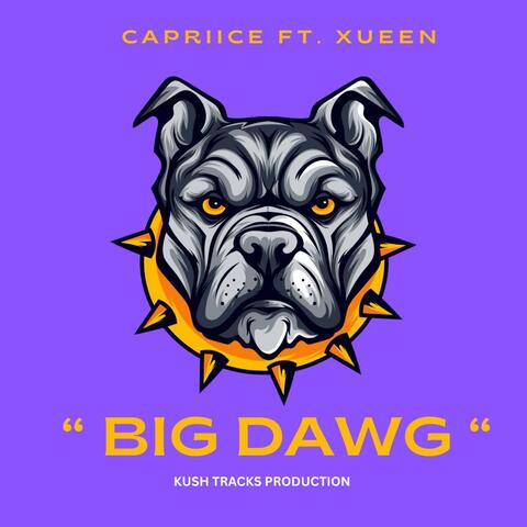 Big Dawg (feat. Xueen) album art