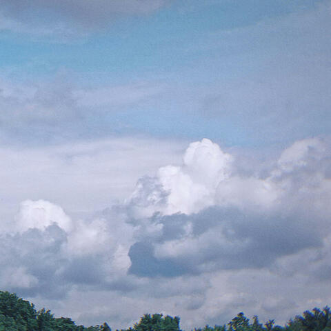 Wish album art