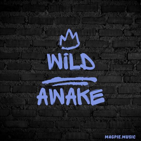 Wild Awake album art