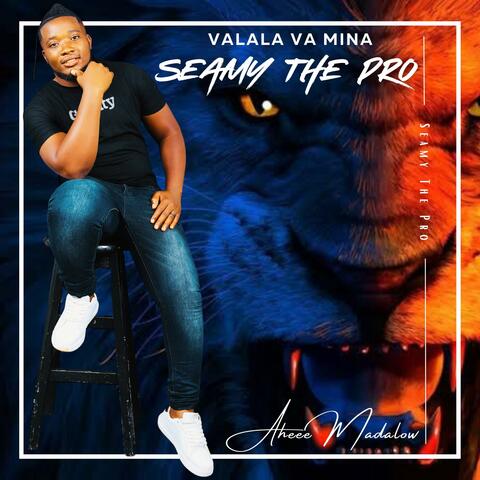 Valala Va Mina album art