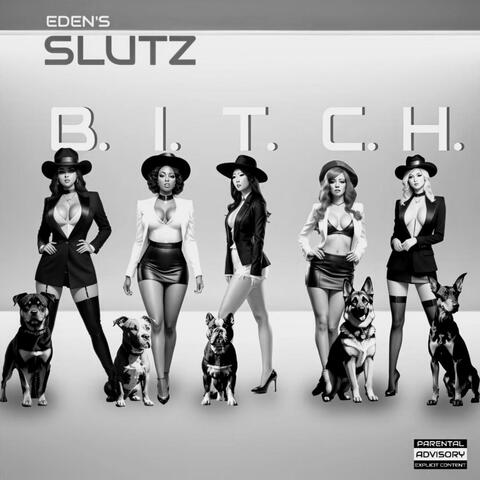 B.I.T.C.H. album art