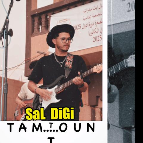 SaL DiGi album art