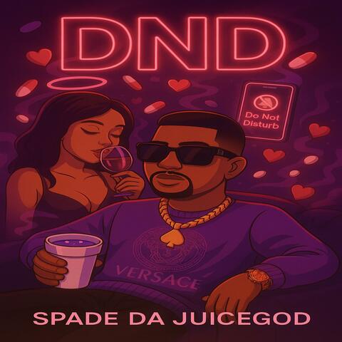 DnD (Do not Disturb) album art