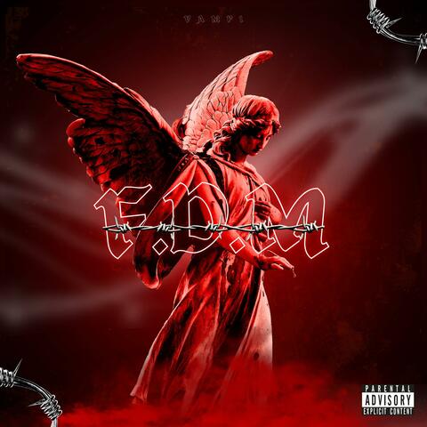 FDM album art