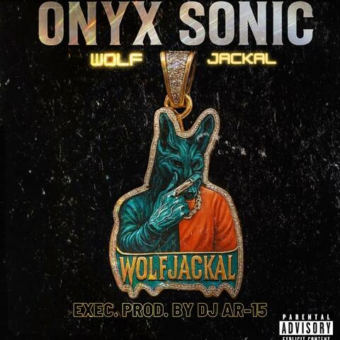 Onyx Sonic album art