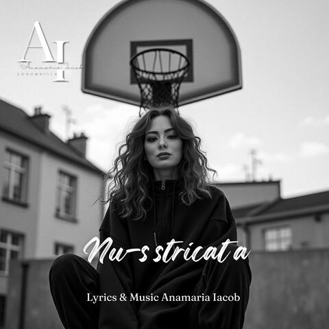 Nu-s stricată album art