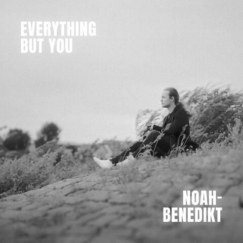 Everything but You album art