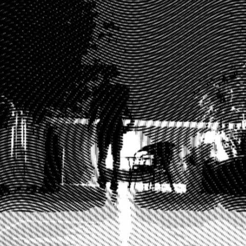 CONTRAST album art