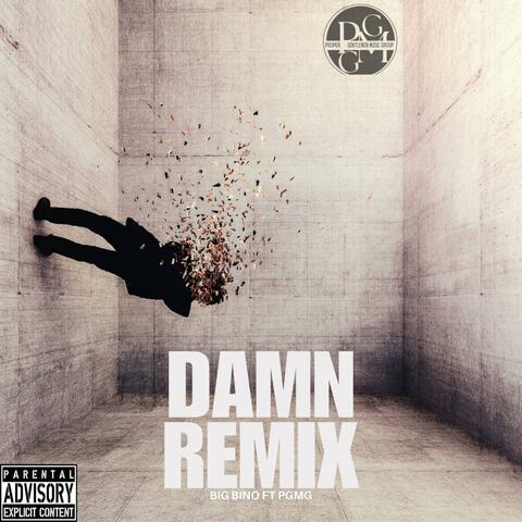 Damn Remix (feat. PGMG) album art