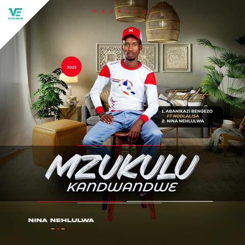 Nina nehlulwa album art