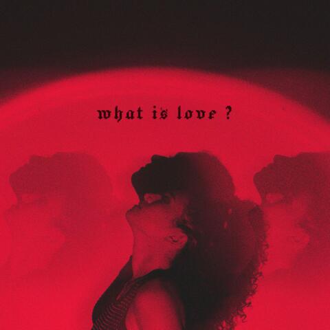 what is love? album art