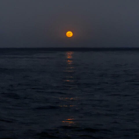 hope is naivety album art