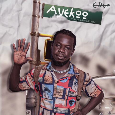 Ayekoo album art