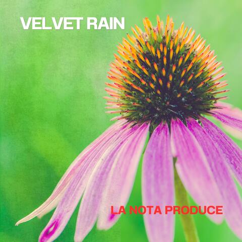 Velvet Rain album art