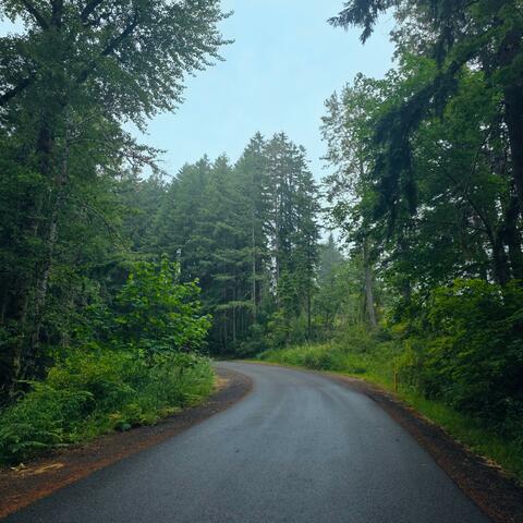 My Heart is Insolvent album art