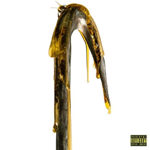 CxndyMxn album art