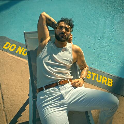 DO NOT DISTURB album art