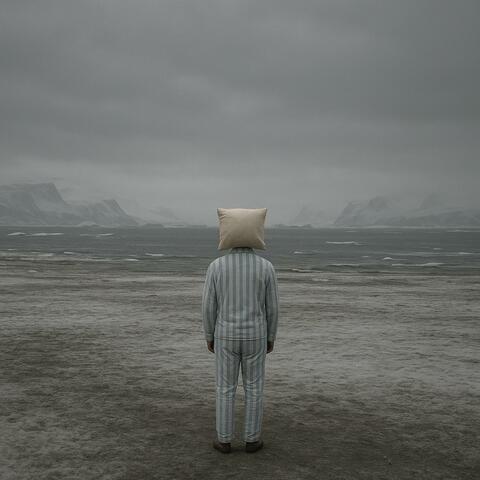 Mr. Pillowhead album art